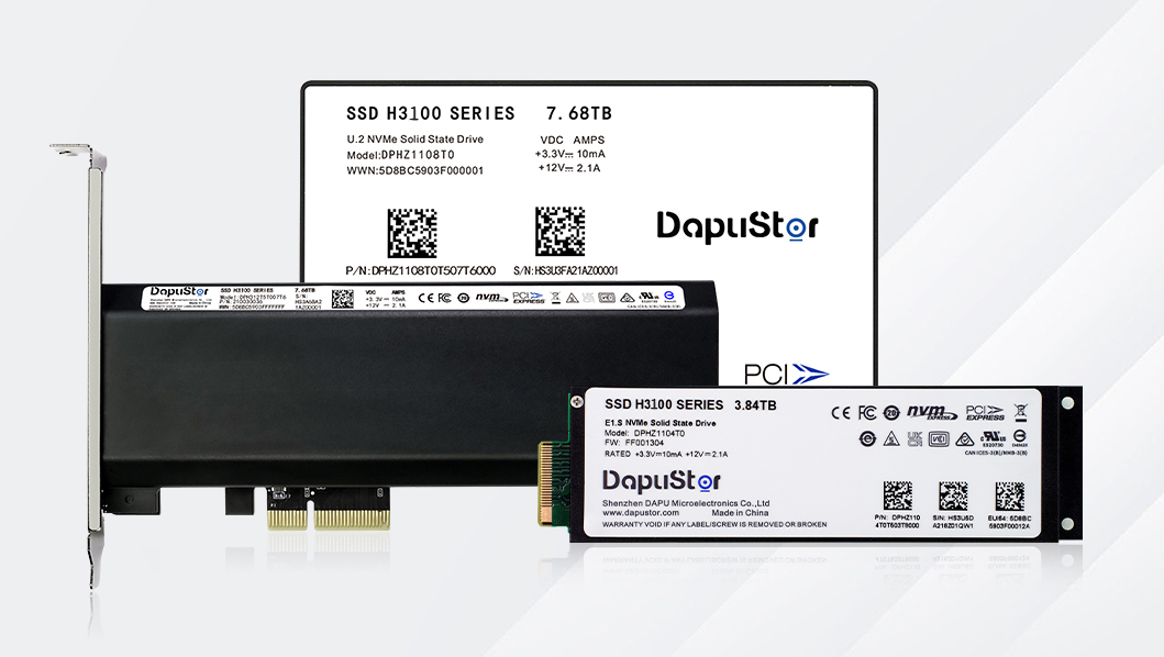 DapuStor?海神Haishen3 H3100系列SSD 