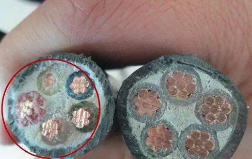 花環(huán)珠江電纜_珠江花環(huán)電力科技有限公司,廣州珠江電纜,國(guó)標(biāo)珠江電纜